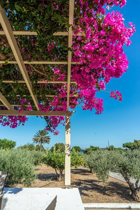 Ferienwohnung Glaros Kouremenos Palekastro Exterior foto